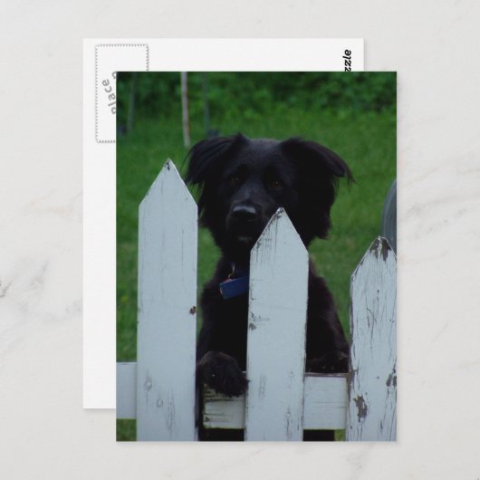 behalt eines Auges Postkarte (Vorne/Hinten)