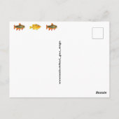 Behalt einfach eine Sammlung von Fischen Postkarte (Rückseite)