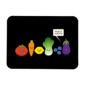 Behalt es farbig (einfaches Design) Magnet (Horizontal)