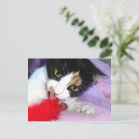 Behalt es sauber! postkarte (Stehend Vorderseite)