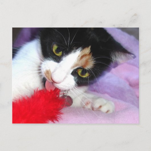 Behalt es sauber! postkarte (Vorderseite)