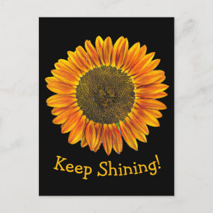 Behalt Gelbe und orangefarbene Sonnenblumen auf Sc Postkarte