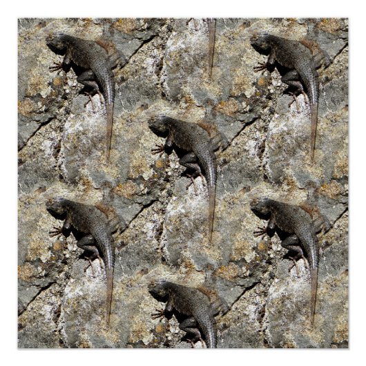 Behalt gleich beim Klettern.... Poster (Vorderseite)