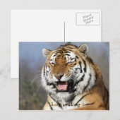 behalt lächeln postkarte (Vorne/Hinten)