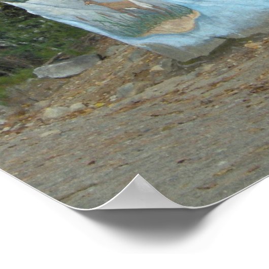 Behalt Maine Beautiful Poster (Ecke)