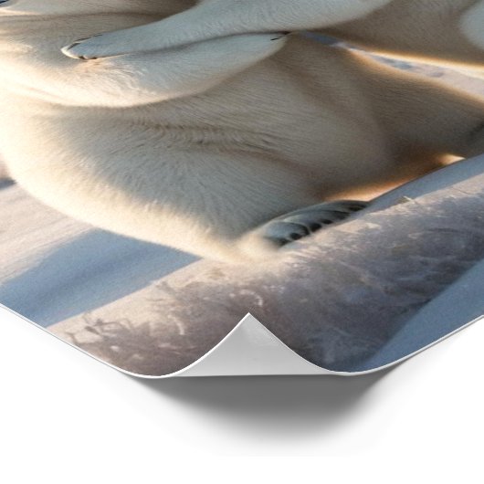 Behalt oder gestalten Sie Ihre eigenen Poster (Ecke)