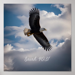 Behalt oder kreiere dein eigenes Poster