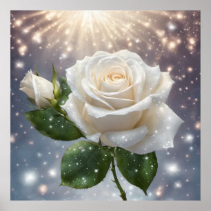 Behalt oder kreiere dein eigenes Poster