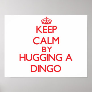 Behalt Ruhe durch Dingo Poster