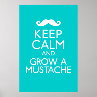 Behalt Ruhe und Grow a Mustache Poster