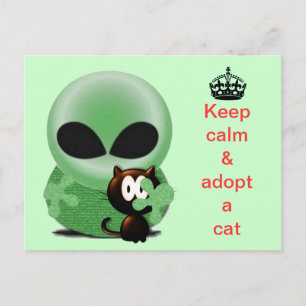Behalt ruhig und adoptier einer Katze Postkarte