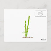 Behalt von Calm und Panda auf Original Design Prin Postkarte (Rückseite)