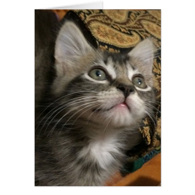 "Behalten Nachschlagen"-Karte (Vorne)