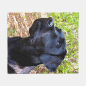 Behalten Nachschlagen - Labrador Retriever - Black Fleecedecke (Vorderseite (Horizontal))