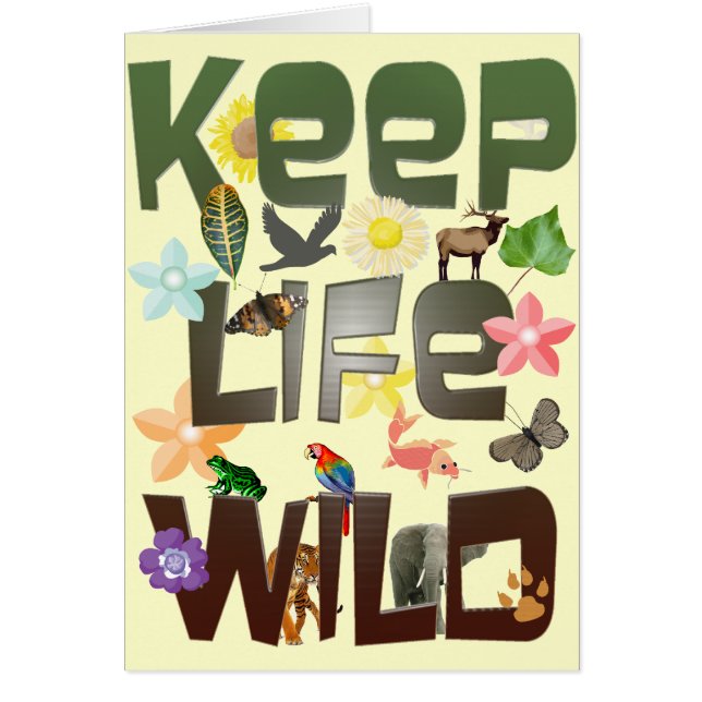 Behalten Sie das Leben wild (Vorne)