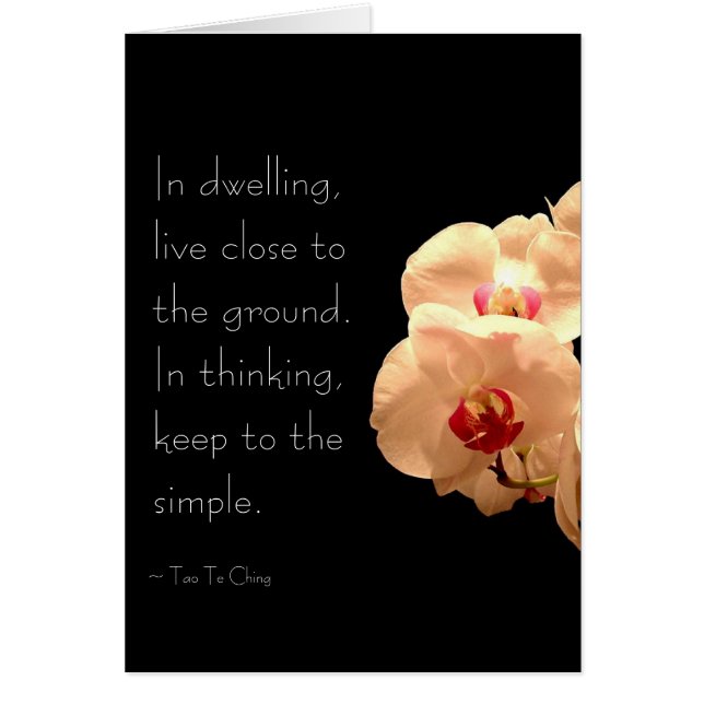 Behalten Sie es einfach (Vorne)