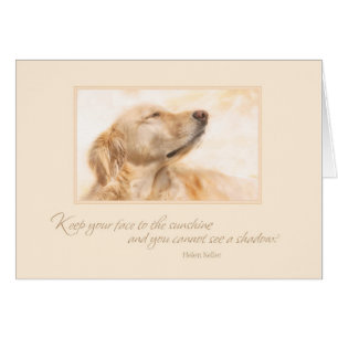 Behalten Sie Ihr Gesicht zum Sonnenschein