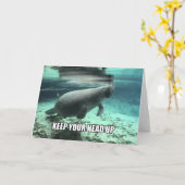 "Behalten Sie Ihr Kopf-oben" beruhigende Karte (Gelbe Blume)