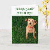 Behalten Sie Ihren Kopf herauf Karte (Gelbe Blume)