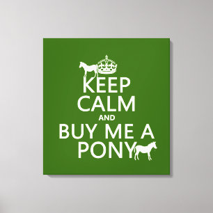 Behalten Sie Ruhe und kaufen Sie mich ein Pony Leinwanddruck