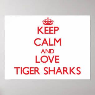 Behalten Sie Ruhe und Liebe Tiger-Haifische Poster
