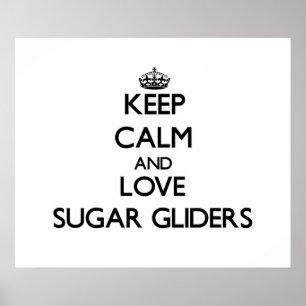 Behalten Sie Ruhe und Liebe-Zuckersegelflugzeuge Poster