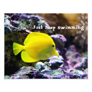 Behalten Sie schwimmendes motivierend Foto