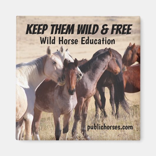 Behalten Wild & Free Magnet (Vorne)