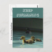 Behaltend Ducklings Postkarte (Vorne/Hinten)