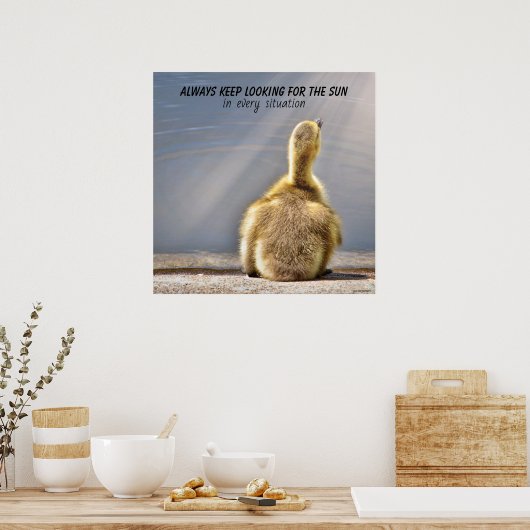 Behaltend Suche nach dem Sun Poster (Küche)