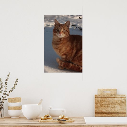 Behaltend Warm Poster (Küche)