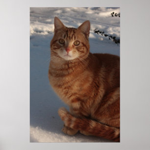 Behaltend Warm Poster