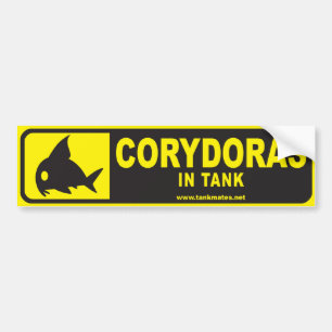Behälter verbindet Autoaufkleber-Reihe 1-Corydora Autoaufkleber