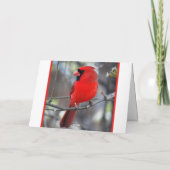 Beharrlicher Kardinal in einer Schneesturm-Merkkar Karte (Rückseite)