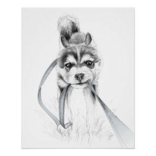 Beharrlichkeit, ein sibirischer Husky Poster
