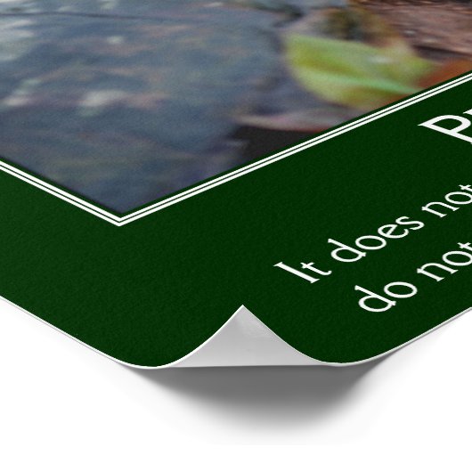 Beharrlichkeit Konfuzius Zitat Turtle Inspiration Poster (Ecke)