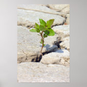 Beharrlichkeit Poster (Vorne)