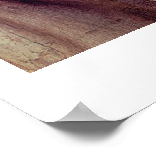 Behauptung eines Triumphes der Venus durch Angelo  Poster (Ecke)