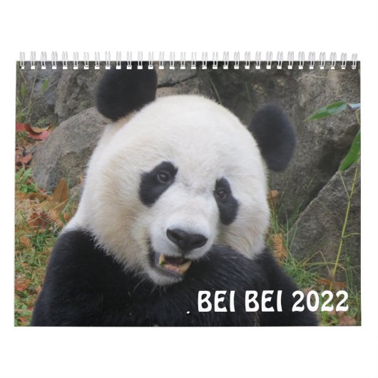 Bei bei 2022 Kalender (Titelbild)