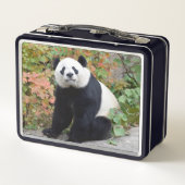 Bei Bei Giant Panda Lunchbox (Rückseite)