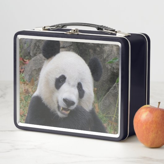 Bei Bei Giant Panda Lunchbox (Beispiel)