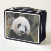 Bei Bei Giant Panda Lunchbox (Vorderseite)
