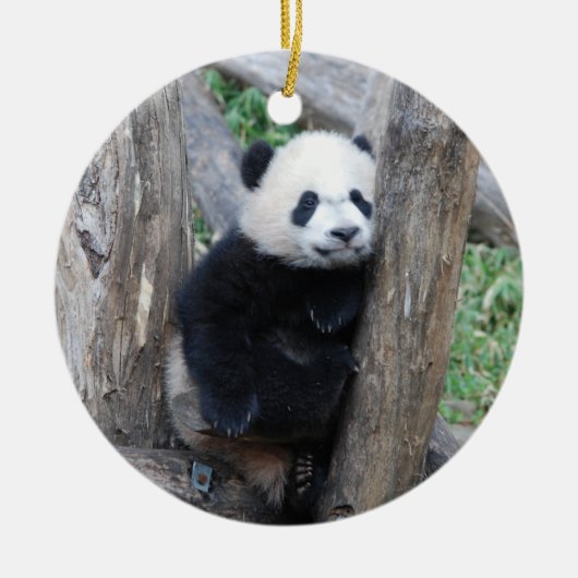Bei Bei Pandajungsverzierung Keramikornament (Vorne)