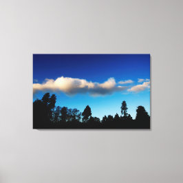 Bei Dämmerung bewaldete Bäume Leinwanddruck