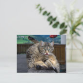 Bei der Reinigung gestört Postkarte (Stehend Vorderseite)