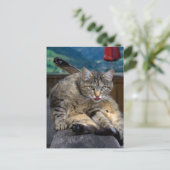 Bei der Reinigung gestört Postkarte (Stehend Vorderseite)