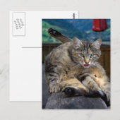 Bei der Reinigung gestört Postkarte (Vorne/Hinten)
