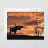 bei der Sunset Post Card Postkarte (Vorne/Hinten)