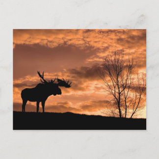 bei der Sunset Post Card Postkarte