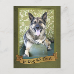 Bei Hunden vertrauen wir Postkarte